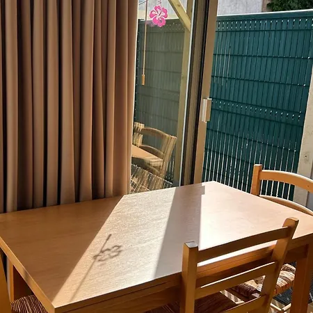 Apartamento Avec Terrasse Proche Et Commerces, Parking, Wifi - Fr-1-652-61