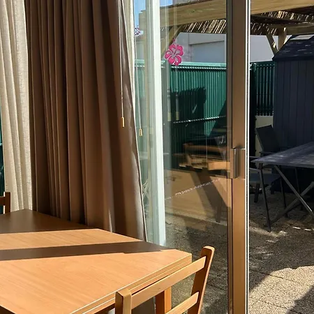 Avec Terrasse Proche Et Commerces, Parking, Wifi - Fr-1-652-61 * Saint-Jean-de-Monts